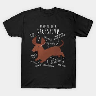 Red Dachshund Dog Anatomy T-Shirt